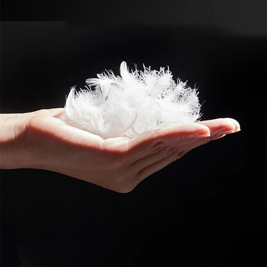 Luxury 100% White Goose Feather Pillow